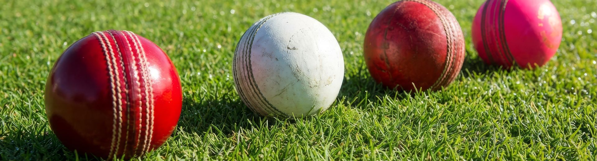 TATA WPL & IPL 2026 Match Schedule Banner